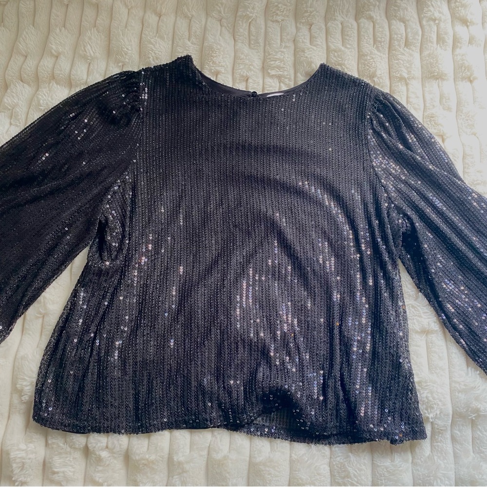 Blue Relaxed Sequin Puff Sleeve Blouse